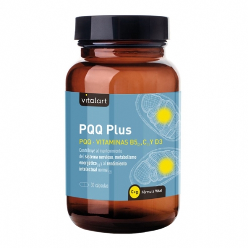 Vitalart PQQ Plus 30 capsulas