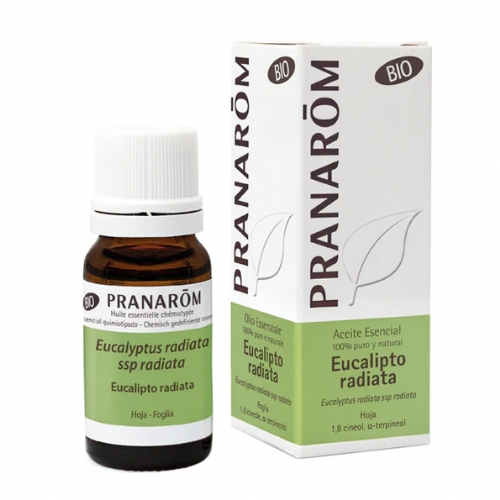 Aceite Esencial Eucalipto Radiata Bio 1 envase 10 ml