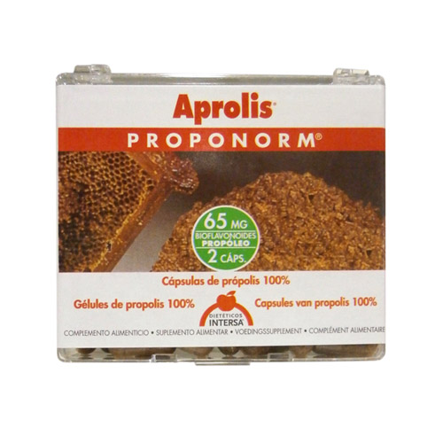 PROPONORM 60 CAP. INTERSA