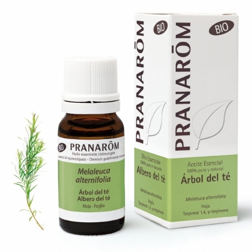 ACEITE ESENCIAL ARBOL DEL TE BIO 10 ML PRANAROM