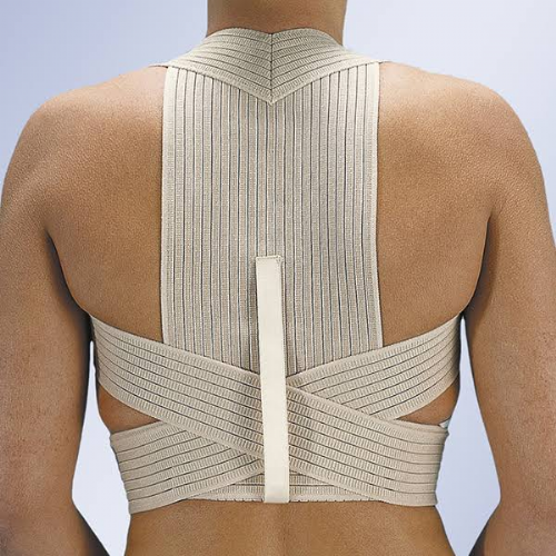 Orliman espaldera transp. t-2