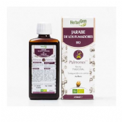 Herbalgem jarabe fumadores 250 ml