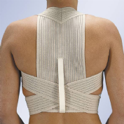 Orliman espaldera transp. t-2