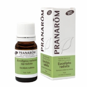 Aceite Esencial Eucalipto Radiata Bio 1 envase 10 ml